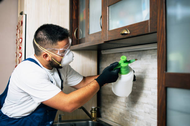 Professional Pest Control in Kemah, TX