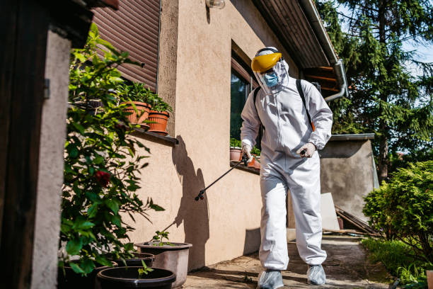 Best Wildlife Control Services  in Kemah, TX