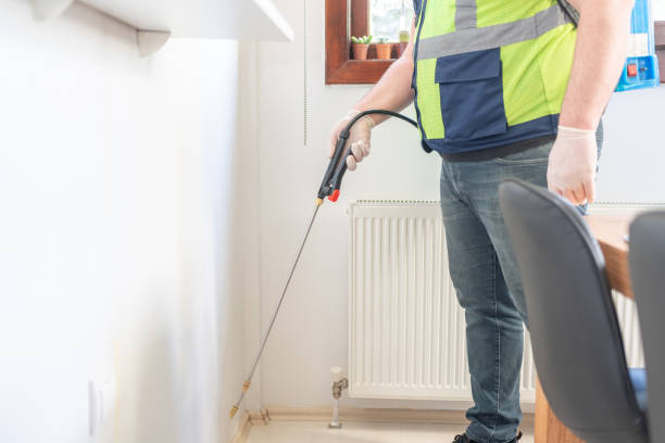 Best Pest Removal Services  in Kemah, TX