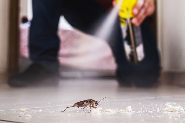 Best Commercial Pest Control Services  in Kemah, TX