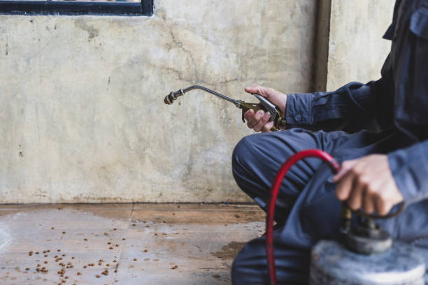 Best Mosquito Control Services  in Kemah, TX